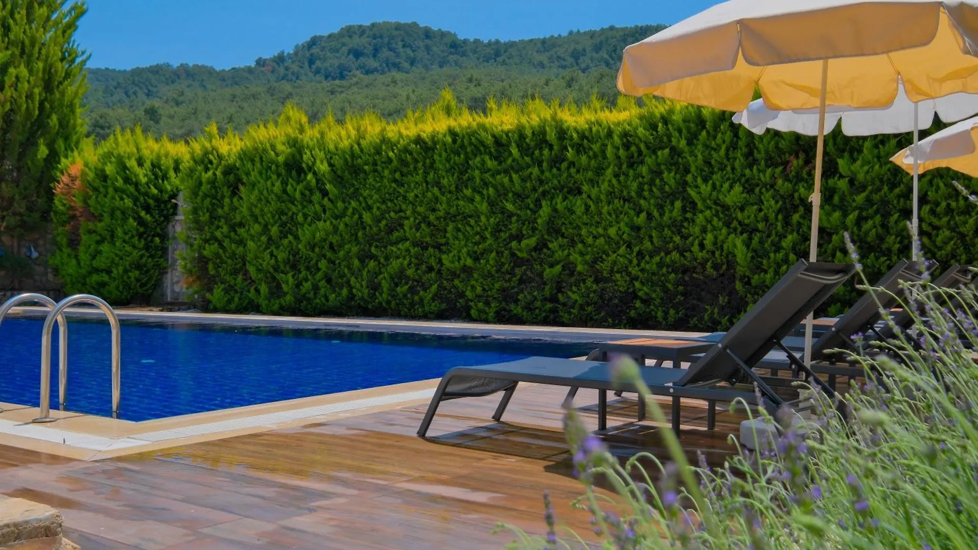 Uzumlu  Villa Albina